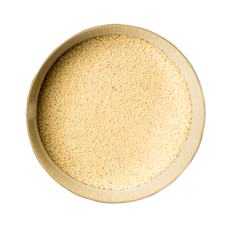Goldhirse 12 Dosen